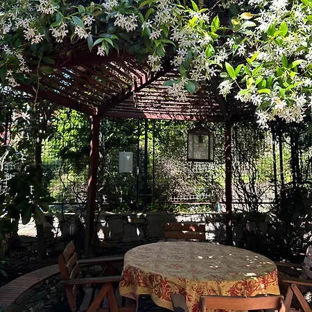 Margherita Villa